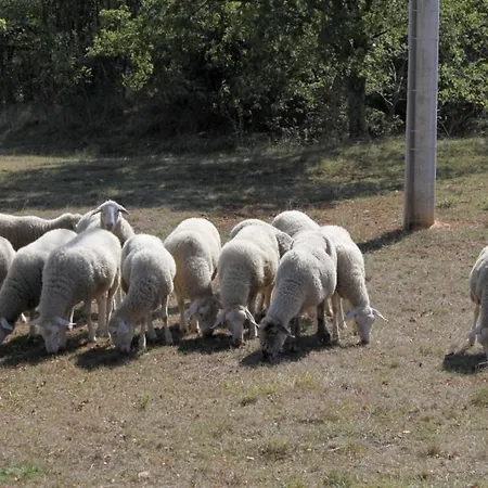 With A Parking Space Sumber, Istria - Sredisnja Istra - 7175 Apartmán *