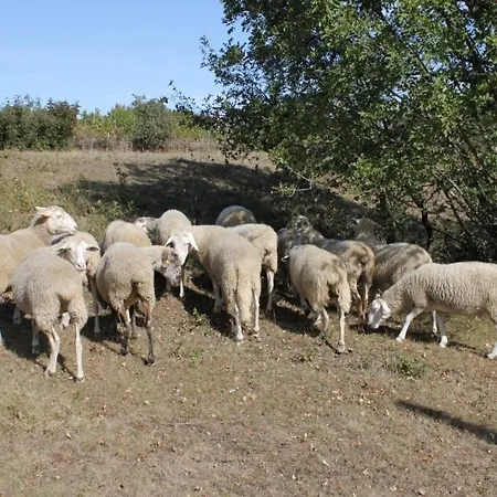 With A Parking Space Sumber, Istria - Sredisnja Istra - 7175